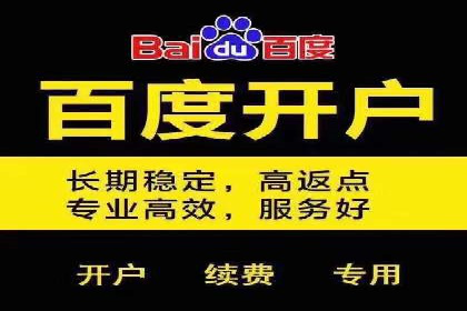 百度SEM竞价推广成功案例：某电商平台的营销奇迹